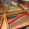 Yamaha C3 SN Grand Piano - Image 3